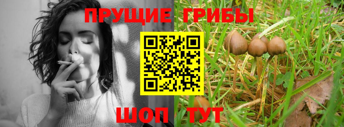 закладка  Псилоцибиновые грибы Psilocybine cubensis  Вход с VPN  Тосно 