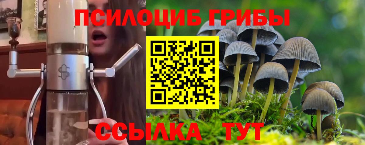 Псилоцибиновые грибы MAGIC MUSHROOMS Тосно